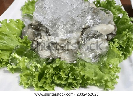a photography of a plate of food with ice and lettuce, there is a plate of food with lettuce and mushrooms on it.