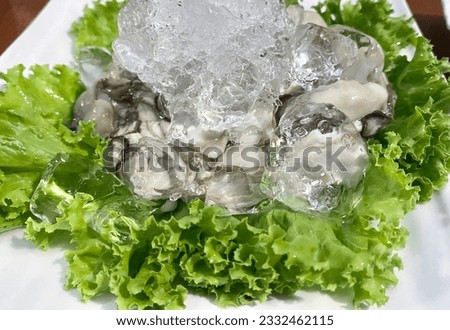 a photography of a plate of food with ice on top of it, there is a plate of food with ice and lettuce on it.