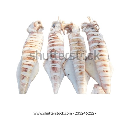 a photography of a group of squids hanging on a line, three pieces of squid are hanging on a string on a white background.