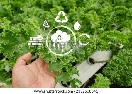 O2, Oxygen is a gas important to life of both plants humans and animals. Because body lacks oxygen for just few minutes. energy and environmental concept. leaf nature tree oxygen cloud. Royalty-Free Stock Photo #2332508641