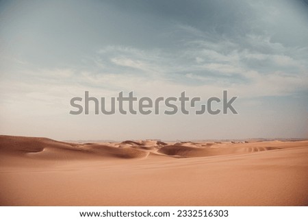 The dunes of the Sahara