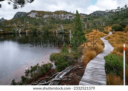 The Overland Track in Tasmania - an Australian bushwalking track, traversing Cradle Mountain-Lake St Clair National Park Royalty-Free Stock Photo #2332521379