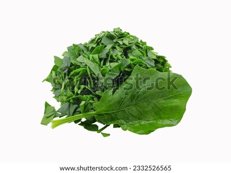 chopped spinach cutting on white background isolated with leaf  Royalty-Free Stock Photo #2332526565
