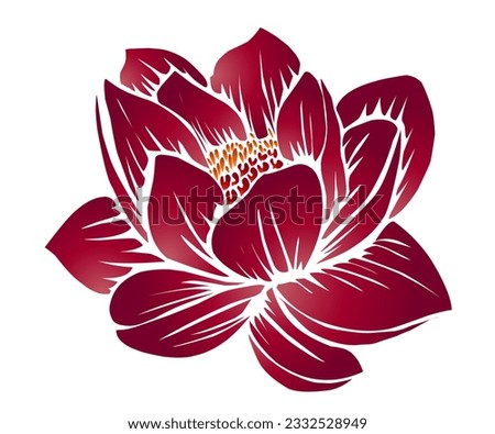 The beauty of the gradation design of the lotus lotus lotus flower Nelumbo nucifera Proteales Tracheophyta Nelumbonaceae is red