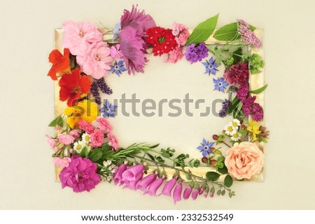 Summer flowers, herbs and wildflowers used in natural herbal medicine flower remedies. Floral nature healthcare composition on hemp paper background.