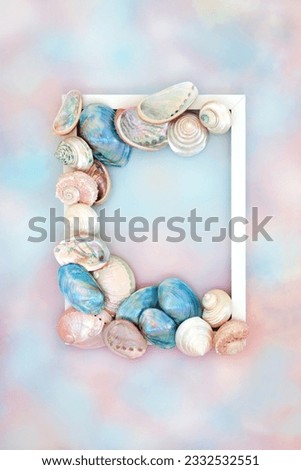 Mother of pearl natural seashell frame decoration on rainbow sky cloud background. Seaside summer art sea life nature design.