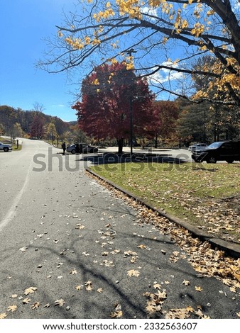 fall leaves on trees beside a road Royalty-Free Stock Photo #2332563607