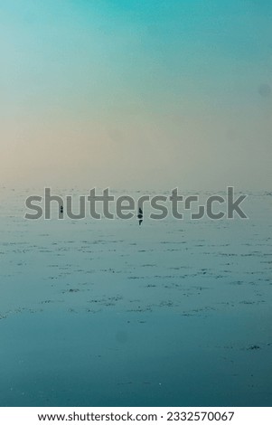 Water surface with wild birds in the center, blurred horizon through fog in the morning. The sky merges with the water. Blue pastel colors.