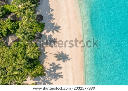 Aerial landscape view of tropical summer palm trees shadows on sandy coast ocean waves splash crash. Beautiful top view sunny sea coast, exotic amazing nature landscape. Abstract Mediterranean pattern Royalty-Free Stock Photo #2332577899