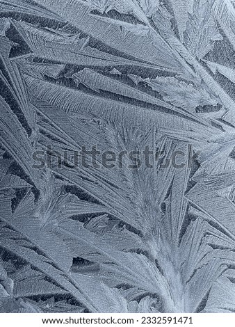 Frost Pattern On Glass Window