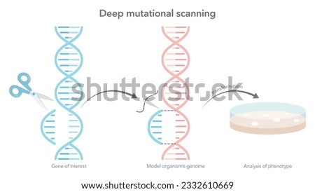 Deep mutational scanning synthetic biology vector infographic
