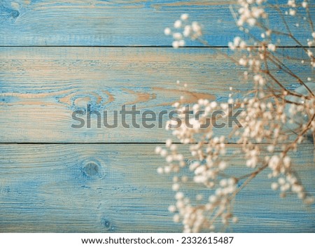 Dry white gypsophila flowers in a glass vase on a blue textured wooden background in shabby chic style. Top view and free space for text.