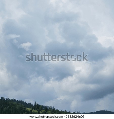 The dark tops of coniferous trees towering above the horizon courageously hold massive gray thunderclouds above their heads. This striking contrast between the elements of nature conveys asense of awe