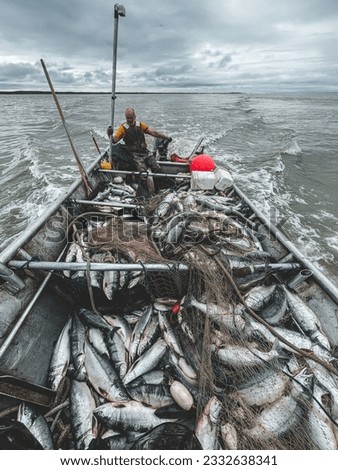This is a picture of a commercial fisherman running a boat full of salmon fish, nets, and fishing gear in choppy water with the wake of the engine behind him.