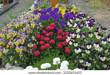 Raised flower bed of bright flowers found in a rural German cemetery