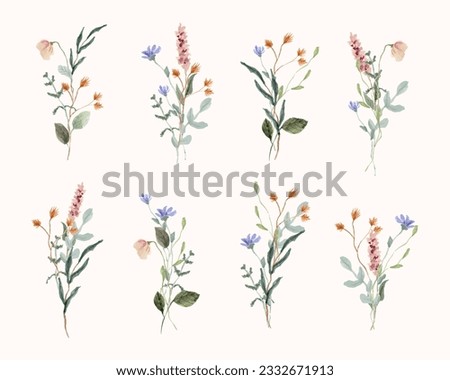 beautiful wildflower watercolor bouquet collection Royalty-Free Stock Photo #2332671913