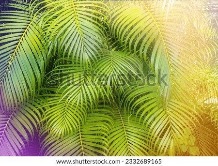 Colorfull palm leaves abstract nature background