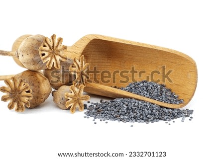 Poppy seed pods and seeds in wooden scoop on white isolated on white background, full depth of field