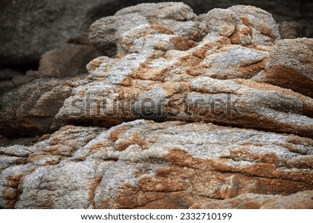 Rock, stone, textured. Background for design.Seaside rocks on the beautiful beach,Close up of Red and cream colored seaside rocks looking like sculptures.