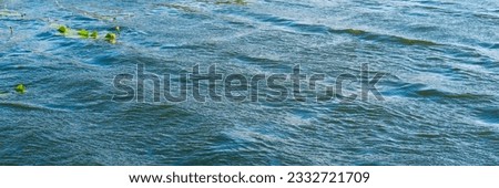 Mixed blue and turquoise surface of water with waves, ripples and water lilies. Water surface panoramic background, water texture closeup