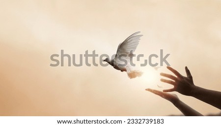 Praying hands and white dove flying happily on blurred background with sunset , hope and freedom  concept. Royalty-Free Stock Photo #2332739183
