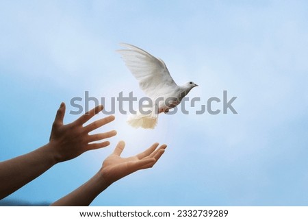 Praying hands and white dove flying happily on blurred background. hope and freedom  concept. Royalty-Free Stock Photo #2332739289