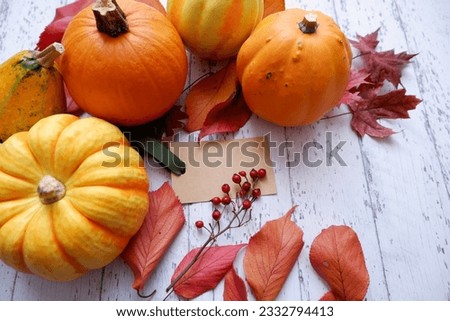 Autumn Harvest concept composition with pumpkins, colorful leaves, acorns and Berries. Thanks giving day, Autumn holiday decoration background. 
