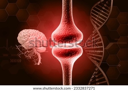 Human brain anatomy with Neurons, brain cells, neural network Synaptic transmission , Synapses. 3d illustration Royalty-Free Stock Photo #2332837271