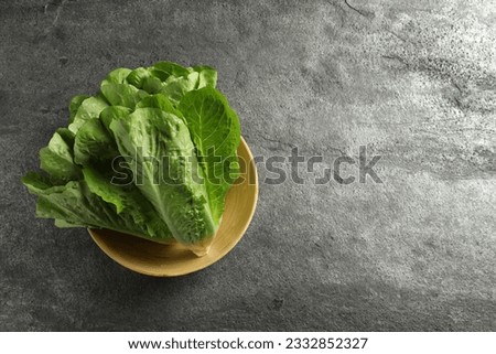 Fresh green romaine lettuces on light grey table, top view. Space for text