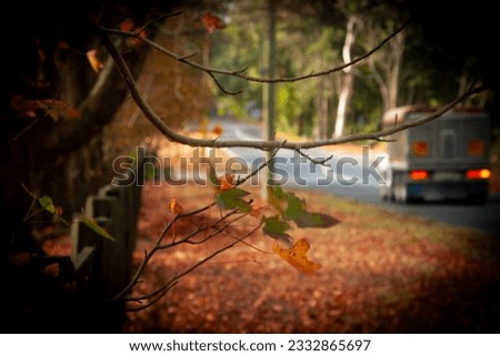 A truck rumbles down a country road in the background of a vignetted shot of autumn leaves clinging on to bare branches, as fallen leaves cover the ground in the background