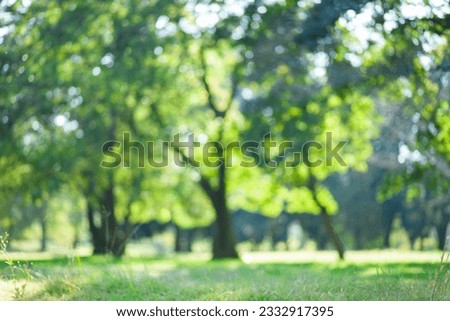 blurred forest green background material Royalty-Free Stock Photo #2332917395