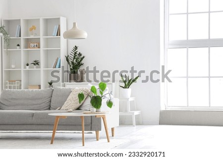 Interior of light living room with grey sofa, coffee table and big window Royalty-Free Stock Photo #2332920171