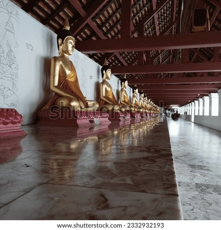 Many Buddha images arranged in a row to reflect the special characteristics of those who sculpted them.