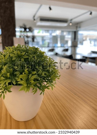 a small plant in a white pot on a wooden table