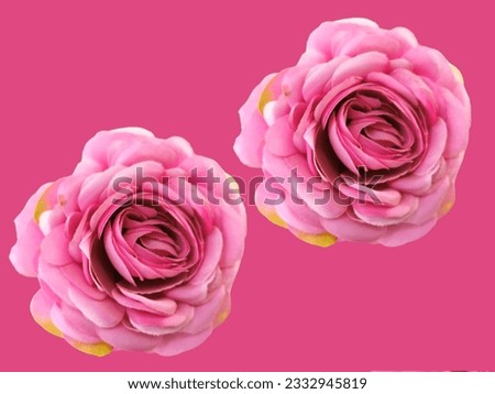 Beautiful floral backgrounds for messages and advertisements.