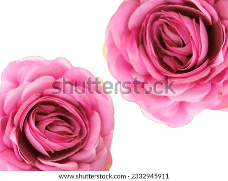 Beautiful floral backgrounds for messages and advertisements.