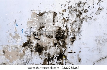 a photography of a wall with a lot of paint and a fire hydrant, wall with a white paint and a black moldy paint.