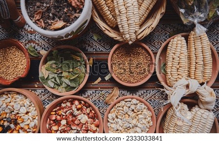 Various dried spices, andean cereals and grains in small bowls and raw herbs, pachamama payment, andean peruvian culture Royalty-Free Stock Photo #2333033841