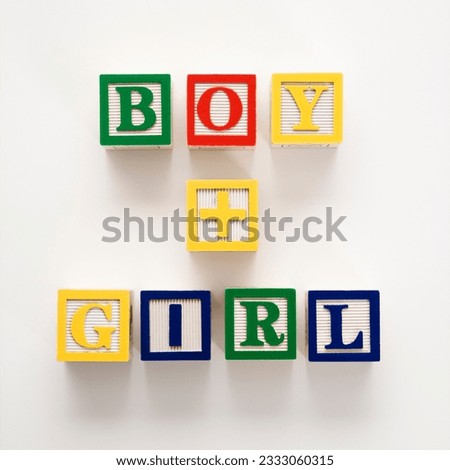 Alphabet toy building blocks spelling the words boy plus girl.