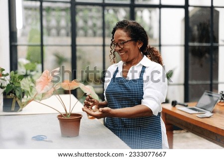 Mature flower arranger waters a floral plant in her store, making sure it gets the right amount of hydration. Woman taking care of flowers as she runs a successful small business. Royalty-Free Stock Photo #2333077667