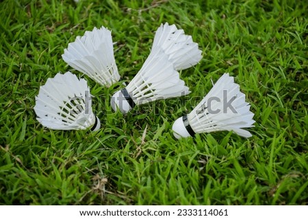 Group of badminton shuttle cocks on green grass background