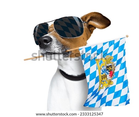jack russell dog celebrating beer festival in munich , bavaria germany holding flag in mouth , isolated on white background
