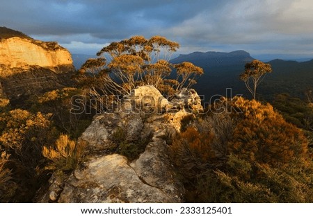 Warm golden sunlight across the rocky escarpment texture and colour in the native bushes and gum trees. Blue Mountains views to Mount Solitary under a moody sky Royalty-Free Stock Photo #2333125401