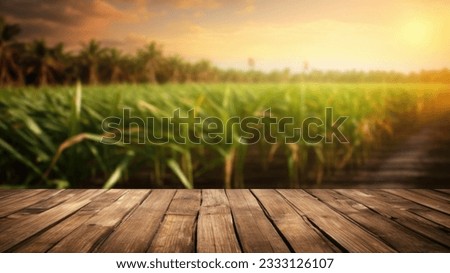 The empty wooden brown table top with blur background of sugarcane plantation. Exuberant image. Royalty-Free Stock Photo #2333126107