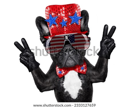 french bulldog dog celebrating independence day 4th of july with victory and peace fingers, isolated on white background