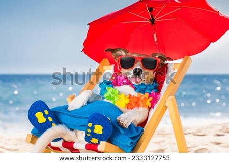 jack russel dog resting and relaxing on a hammock or beach chair under umbrella at the beach ocean shore, on summer vacation holidays