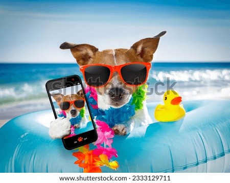 jack russel dog resting and relaxing on a air mattress or swim ring at the beach ocean shore, on summer vacation holidays taking a selfie with smartphone or mobile phone