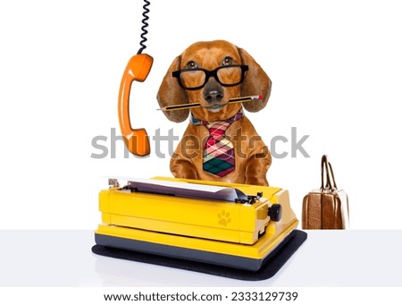 office worker businessman dachshund sausage dog as boss and chef , with suitcase and typewriter listening on the phone or telephone , isolated on white background