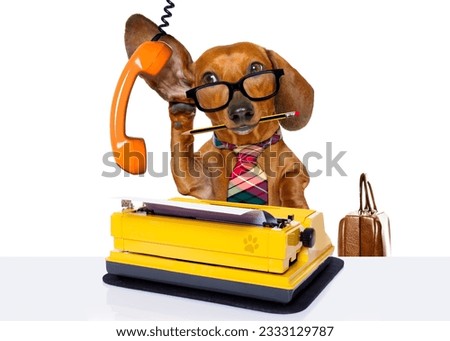 office worker businessman dachshund sausage dog as boss and chef , with suitcase and typewriter listening and hearing carefully on the phone or telephone , isolated on white background
