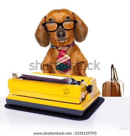 office worker businessman dachshund sausage dog as boss and chef , with suitcase and typewriter with tie , isolated on white background